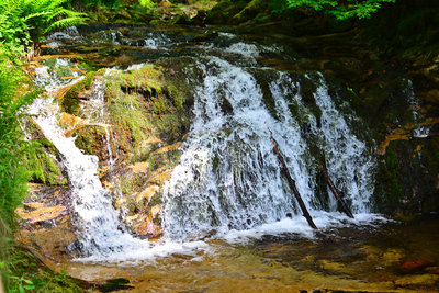 Une des nombreuses Wasserfall de Oppenau